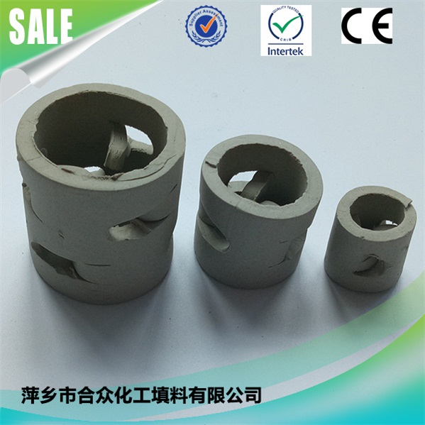 25mm 38mm 50mm White Ceramic Pall Ring for Ceramic Tower Packing 用于陶瓷塔填料的白色陶瓷鲍尔环填料25mm 38mm 50mm
